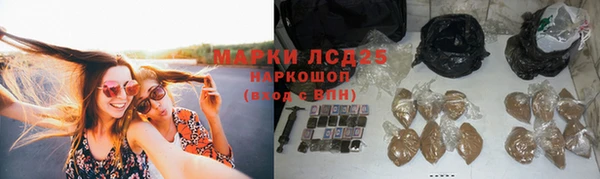 шишки Армянск