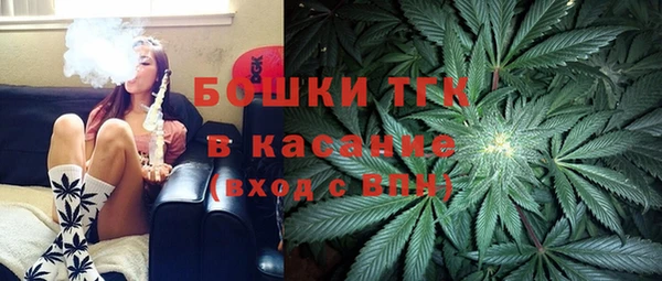 шишки Армянск