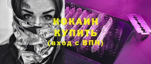 шишки Армянск
